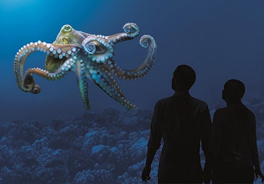 Couple at the aquarium.