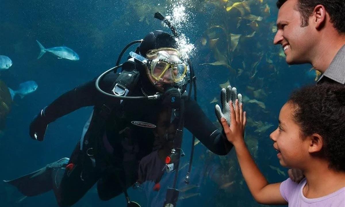 Scuba driver in aquarium