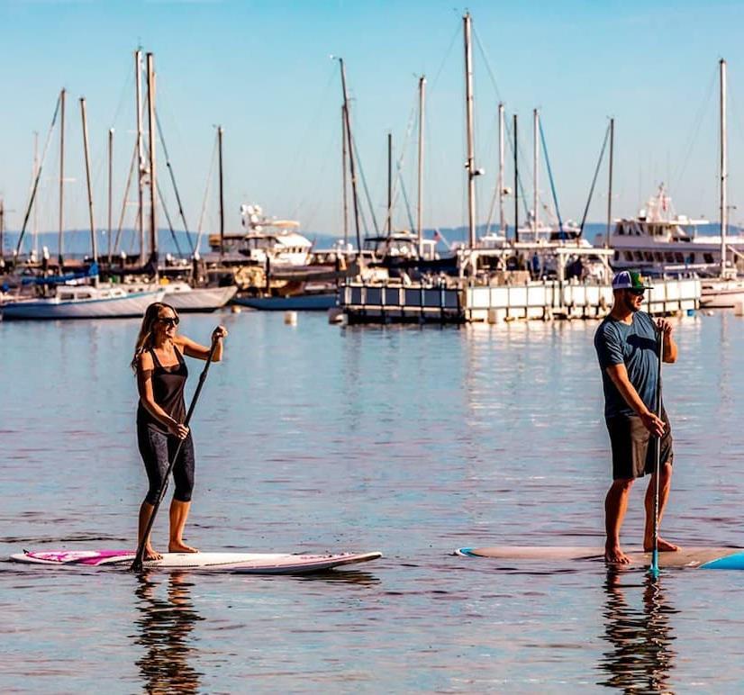 couple paddleboarding on the ocean