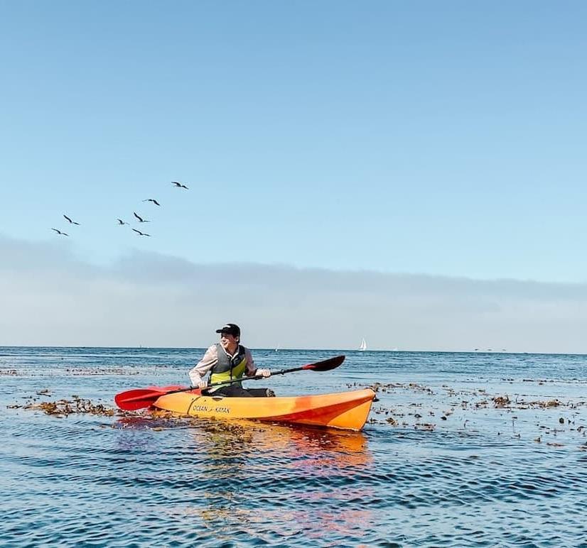A kayaker in the bay near kelp beds