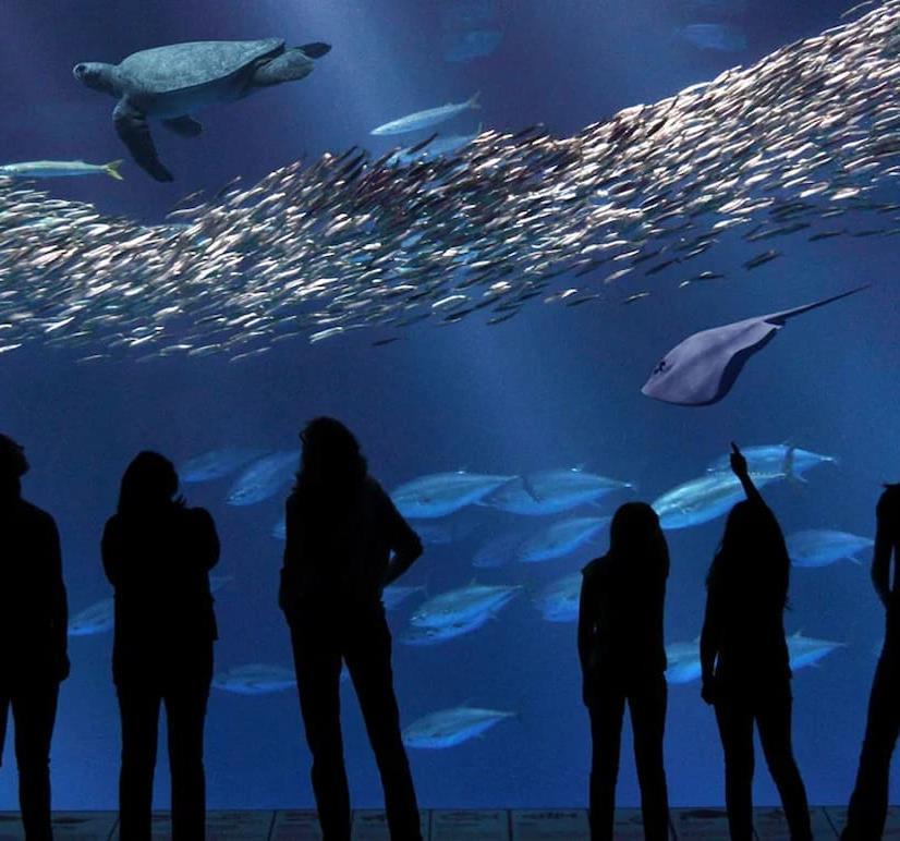 Monterey Bay Aquarium