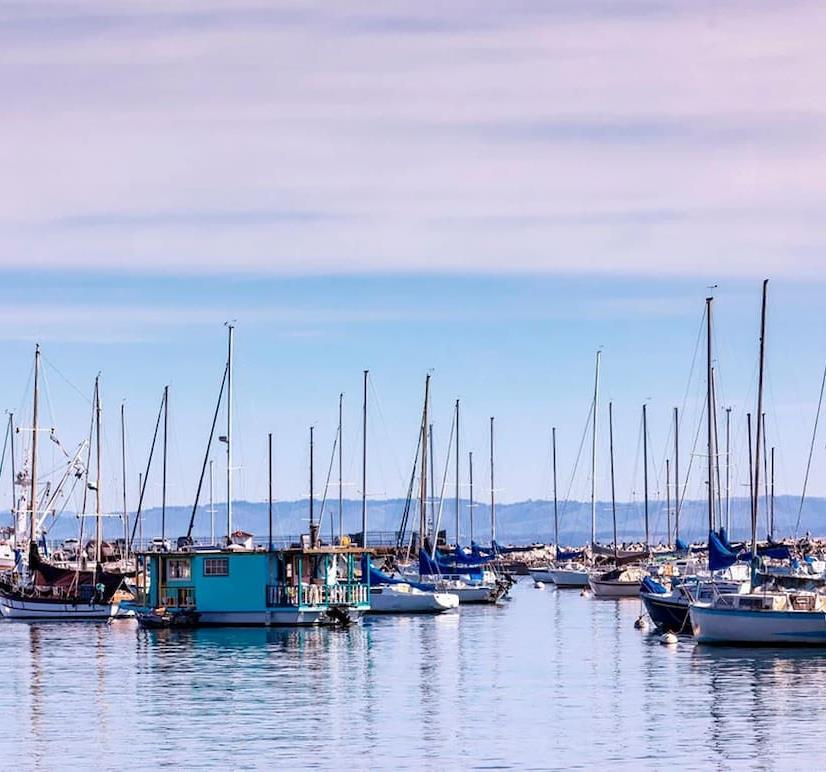 Monterey harbor filled with boats