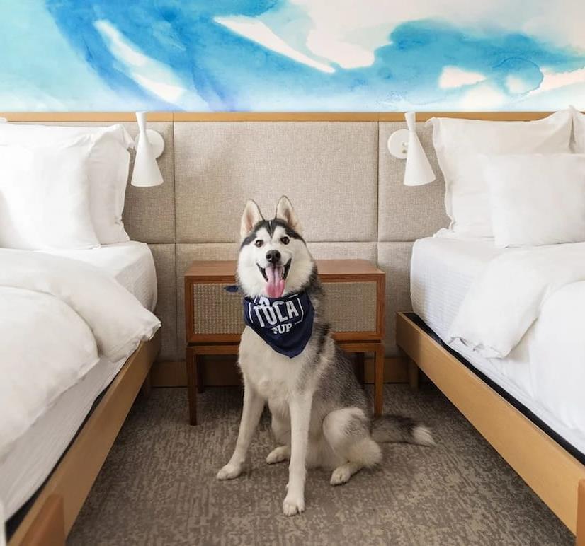 Pet Friendly Monterey Hotel