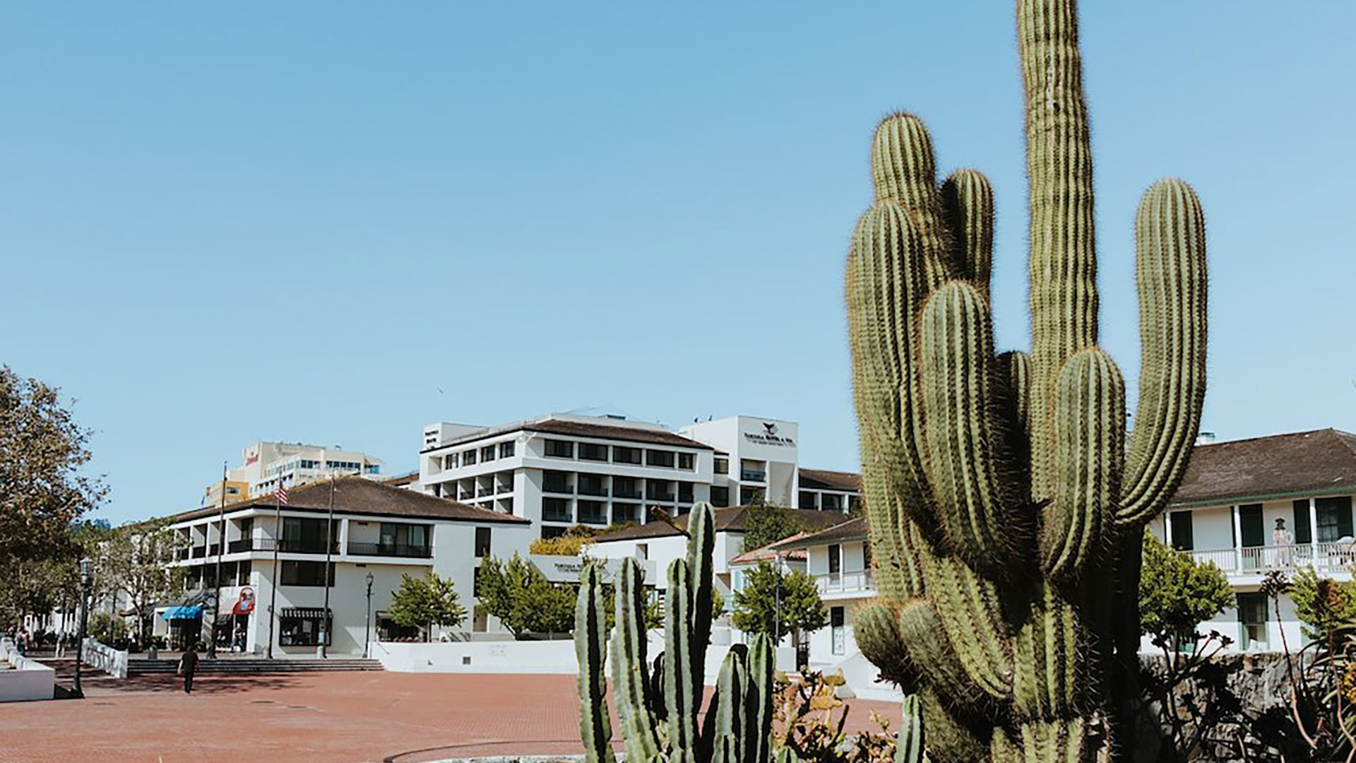 exterior of hotel by giant cactus