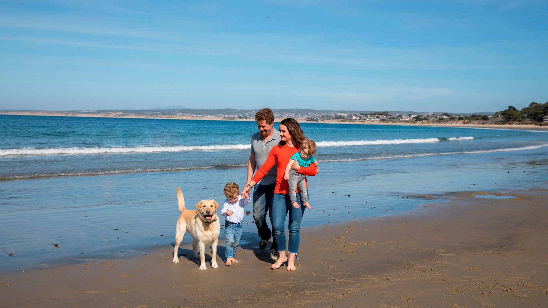 Family Walking By The Sea
