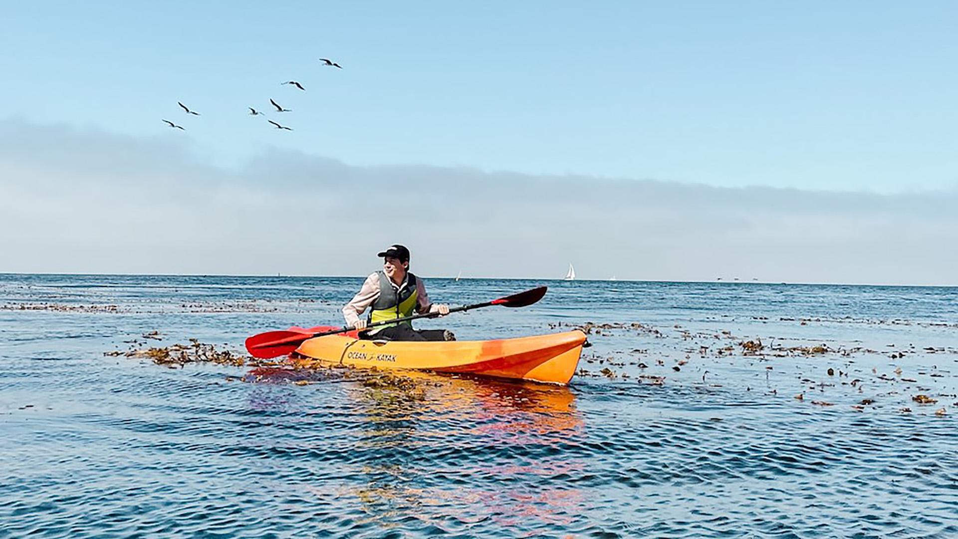 A kayaker in the bay near kelp beds