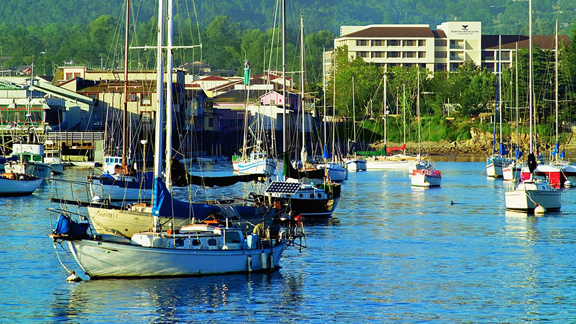 Portola Hotel View From The Bay