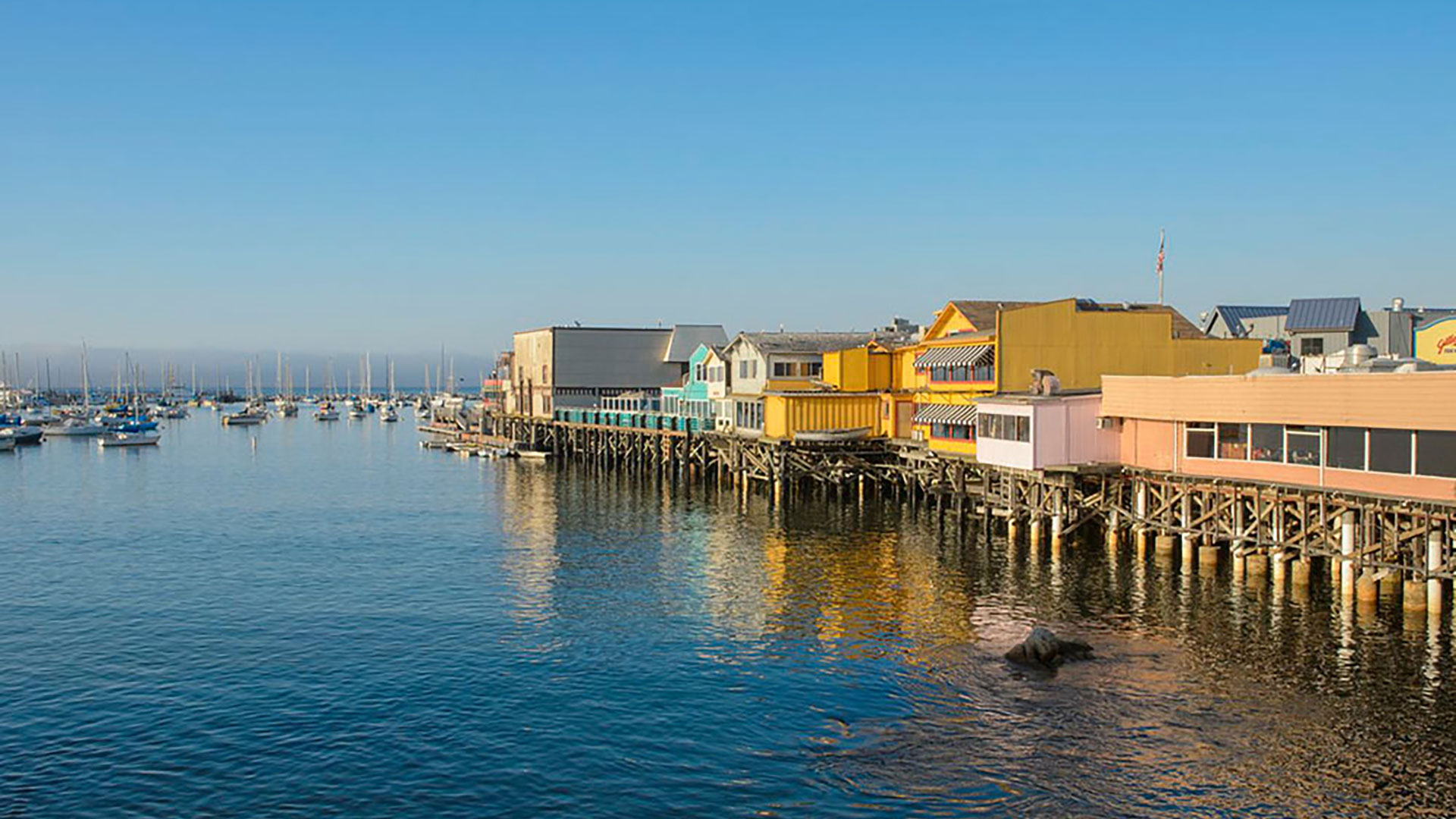 Old Fisherman's Wharf