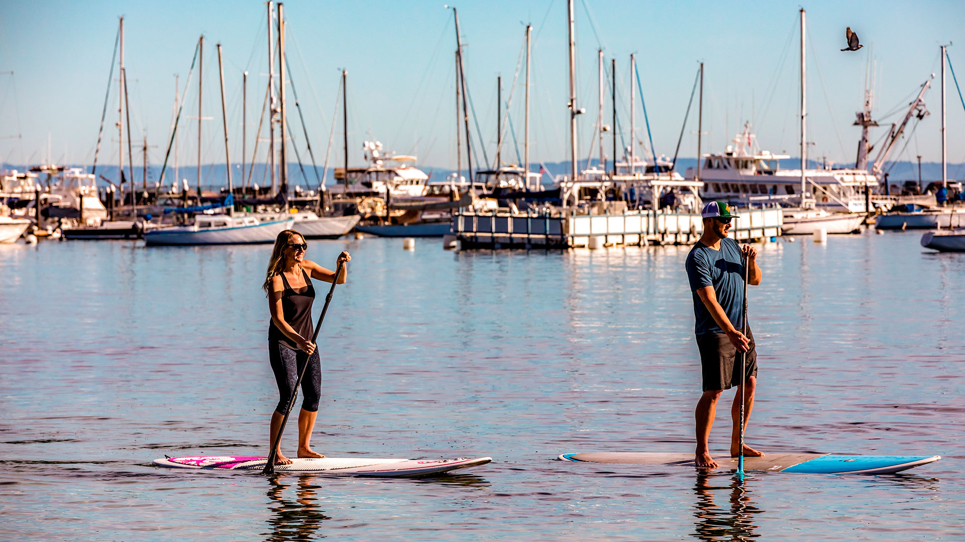 couple paddleboarding on the ocean