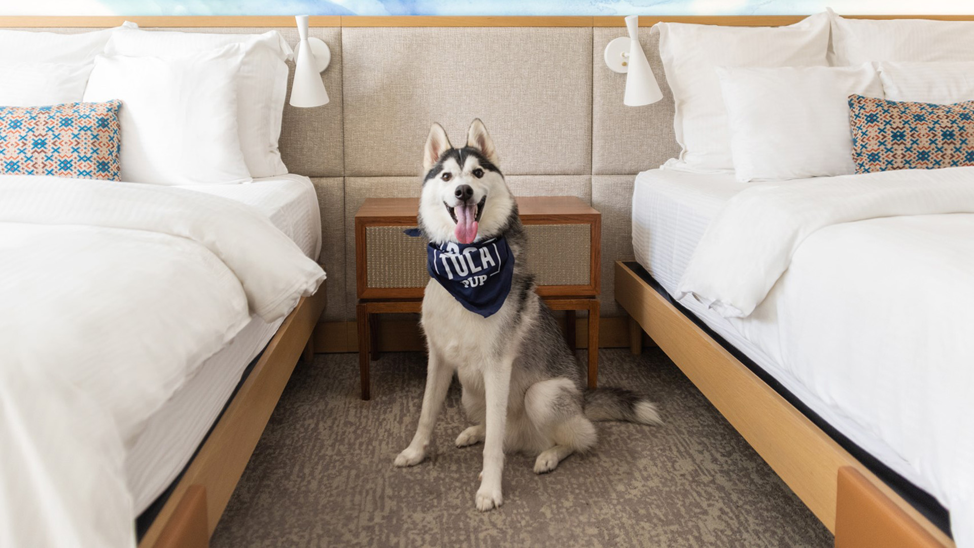Pet Friendly Monterey Hotel